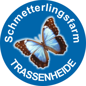 Schmetterlingspark Trassenheide Logo Schmetterlingspark Trassenheide Logo
